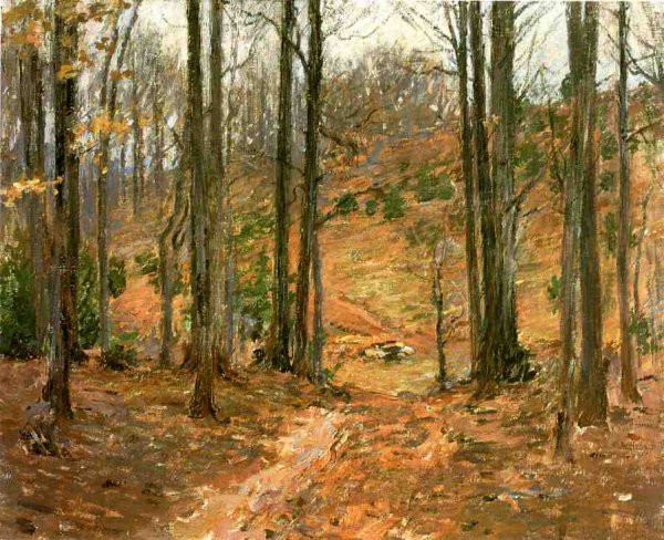 Virginia Woods 1893